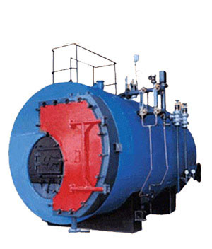 Solid Fuel Fired Hot Water Generator